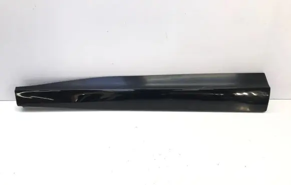 Ford Mustang Mach-E Front door trim (molding) LJ8BR20849 LJ8BR20849DAW