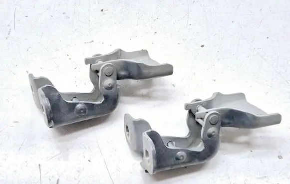 Renault Trafic II (X83) Front door hinge set 311772M GM66380