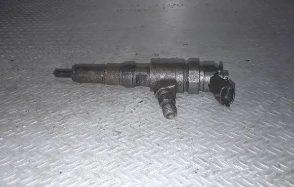Peugeot 206 Fuel injector 0445110075