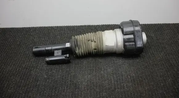 Land Rover Range Rover Sport L461 Air suspension front shock absorber N9X23C286BD