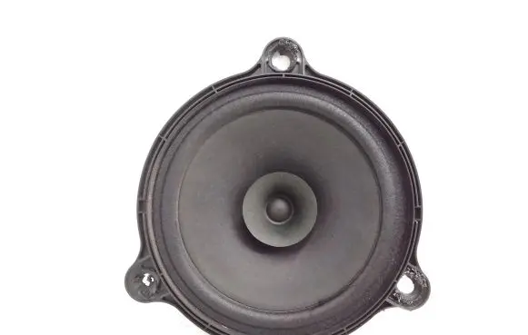 Renault Trafic III (X82) Front door speaker 57744928156