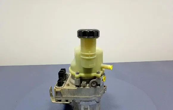 Dacia Duster Power steering pump 491108300R