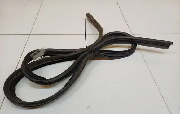Renault Laguna I Rubber seal rear door 