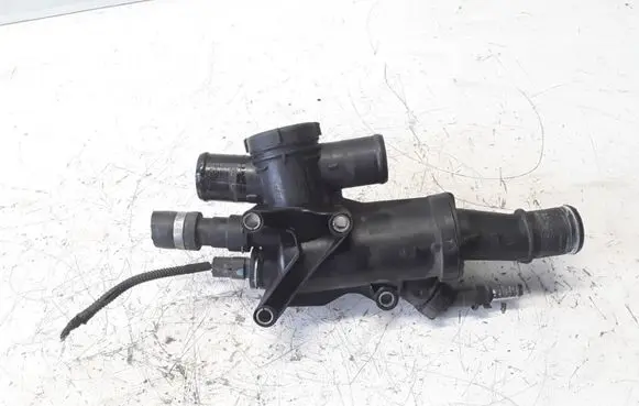 Thermostat/thermostat housing