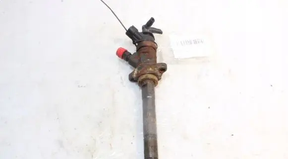 Peugeot 307 Fuel injector 0445110311