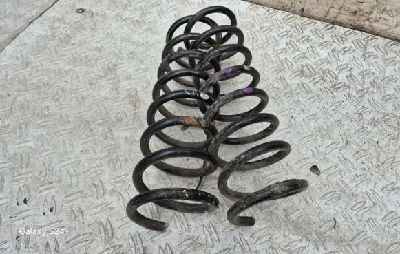 Ford C-MAX II Rear coil spring
