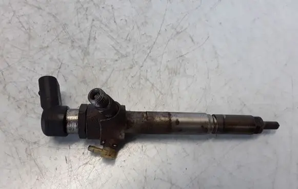 Renault Megane III Fuel injector 8200294788