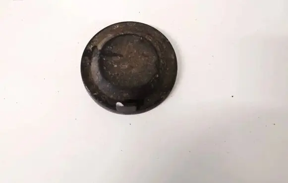 Headlight/headlamp dust cover