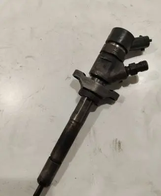 Citroen C5 Fuel injector 0445110259