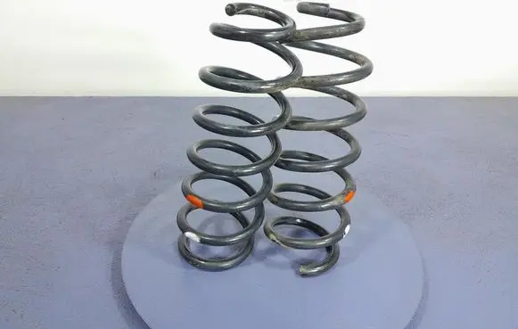 Rear coil spring