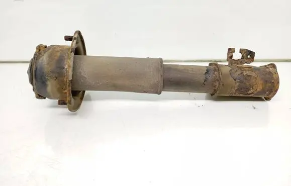 Suzuki Grand Vitara II Front shock absorber/damper