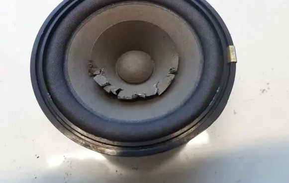 Volkswagen PASSAT B4 Front door speaker TS1015 TS-1015