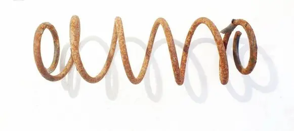 Rear coil spring