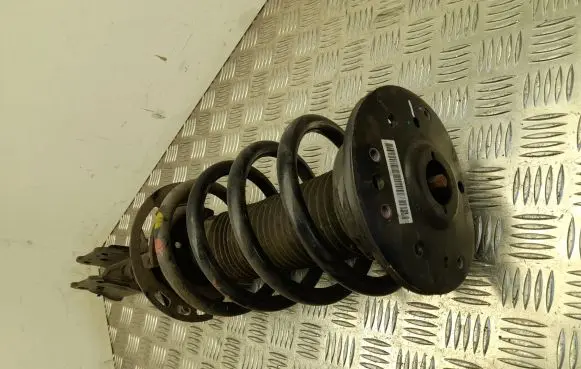 Ford S-MAX Front shock absorber with coil spring E1GC18K001