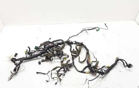 Renault Koleos I Panel wiring 24010JY45D