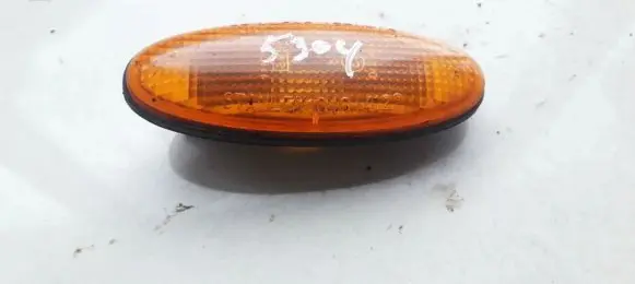 Front fender indicator light
