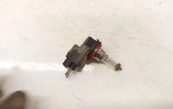 Skoda Octavia Mk2 (1Z) Rear tail light bulb 64212DOT