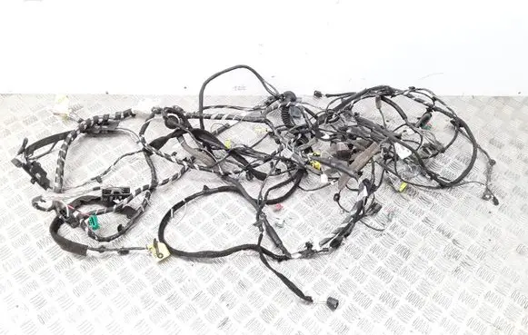 Renault Megane III Other wiring loom 241639284R