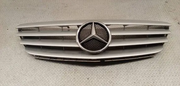 Mercedes-Benz B W245 Front grill A1698800183