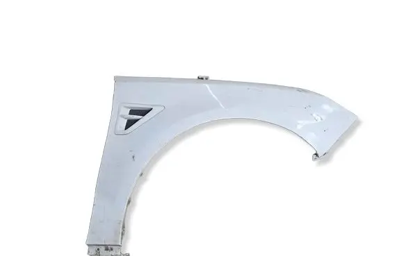 Ford S-MAX Fender 