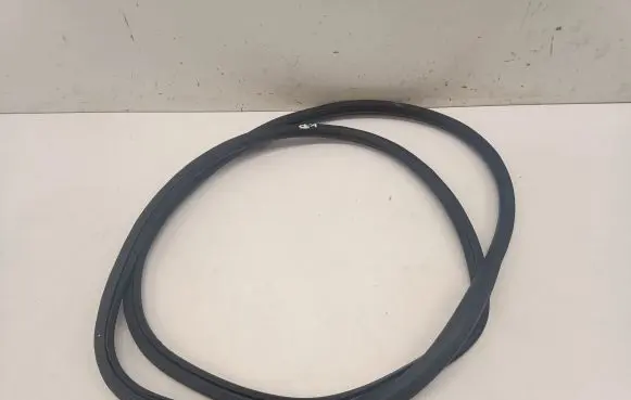 Opel Insignia B Front door rubber seal