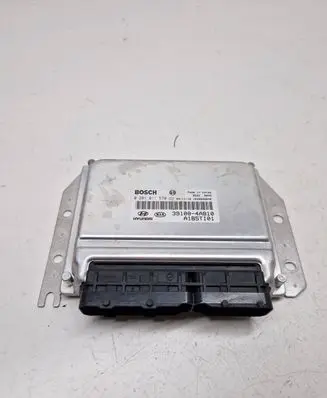 KIA Sorento Engine control unit/module 391004A810