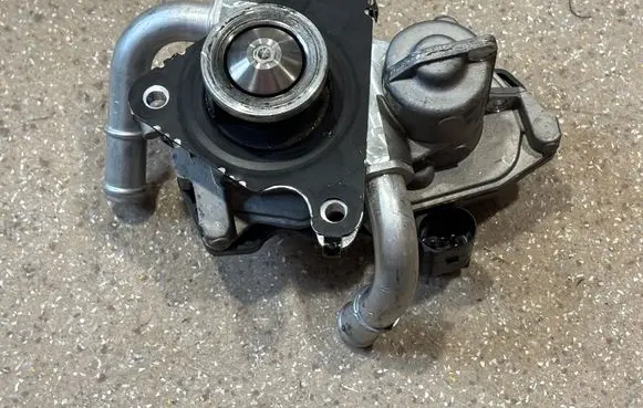 EGR valve