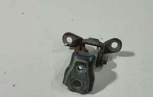 Skoda Roomster (5J) Rear door lower hinge 