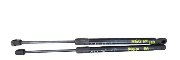 Renault Megane III Tailgate/trunk strut/damper 904510001R 020600F30600N 2206061