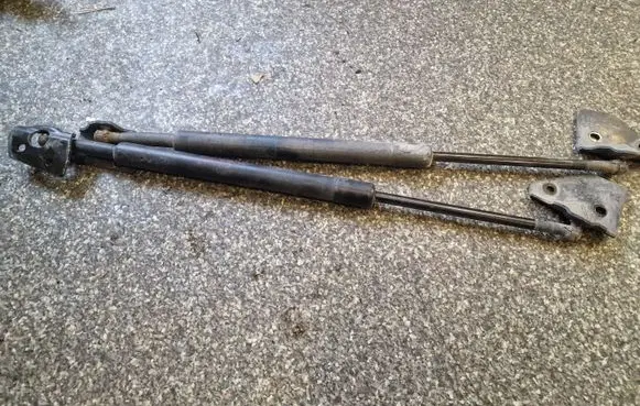 Tailgate strut