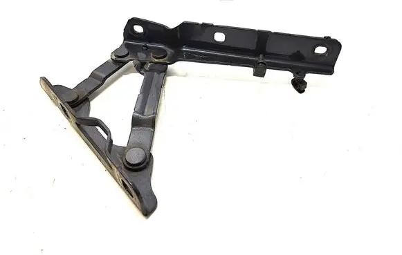 Tesla Model S Engine bonnet/hood hinges 102928400C