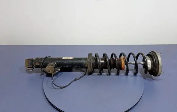 BMW 7 F01 F02 F03 F04 Rear shock absorber/damper 6791673