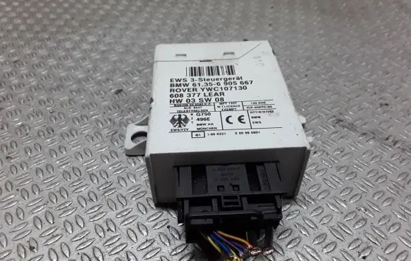 BMW X5 E53 Immobilizer control unit/module 61356905667