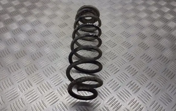 Skoda Octavia Mk2 (1Z) Rear coil spring