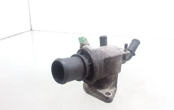 Thermostat/thermostat housing