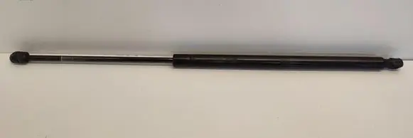 Tailgate strut