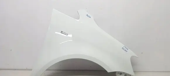 Volkswagen Caddy Fender 1T0821156