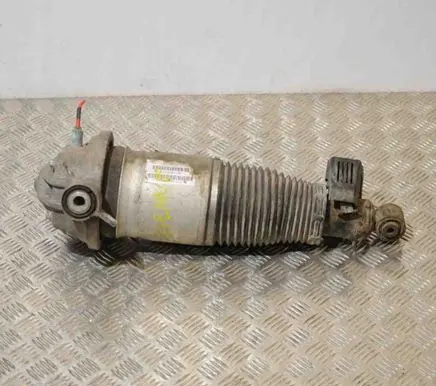 Porsche Cayenne (9PA) Rear shock absorber/damper
