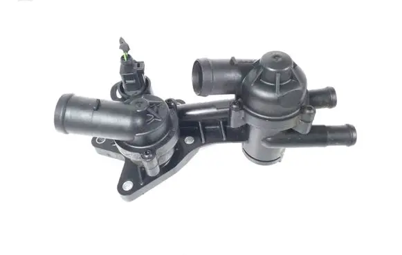 Thermostat/thermostat housing