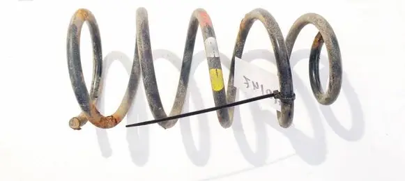 Rear coil spring