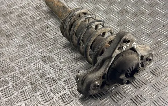Audi A4 S4 B7 8E 8H Front shock absorber/damper