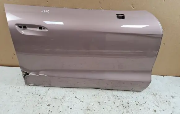 Porsche Taycan 9J1 Front door