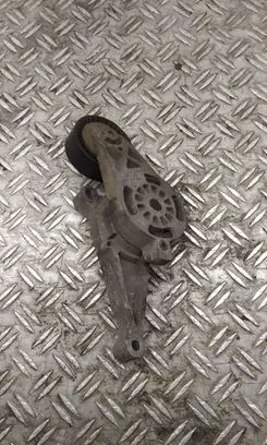 Skoda Octavia Mk2 (1Z) Generator/alternator belt tensioner 03G903315D