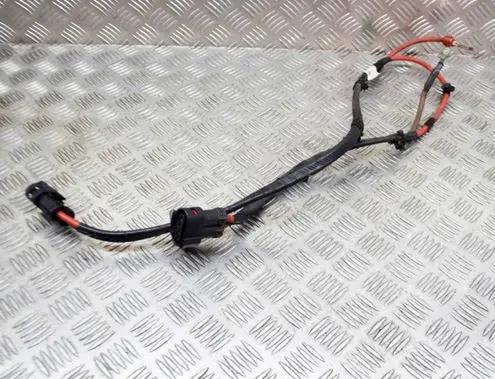 Other wiring loom