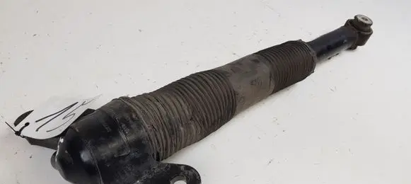 Land Rover Discovery Sport Rear shock absorber/damper GK7218A116