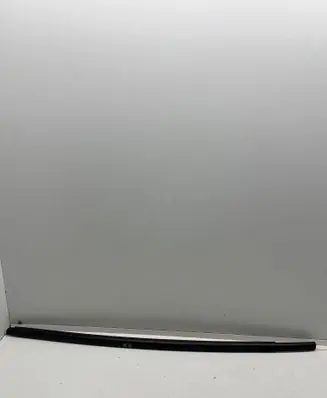 Renault Zoe Front door glass trim molding 