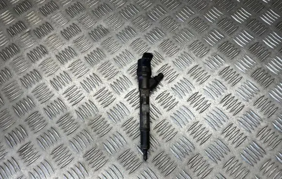 Chrysler Voyager Fuel injector 0445110059 38205