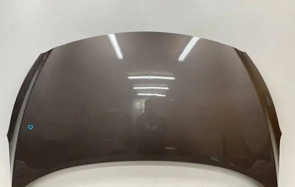 Engine bonnet/hood