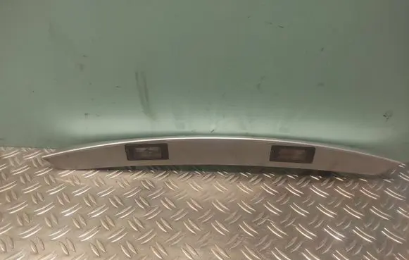 Trunk door license plate light bar