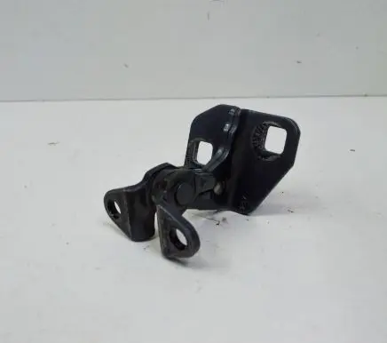 Tesla Model S Rear door lower hinge 6009552